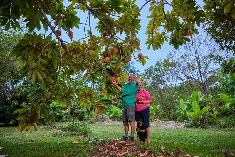 مبيت وإفطار كيب تريبيوليشن Cape Trib Farm المظهر الخارجي الصورة