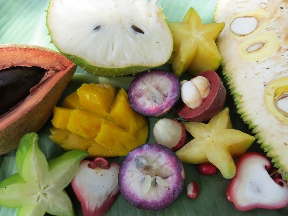 مبيت وإفطار كيب تريبيوليشن Cape Trib Farm المظهر الخارجي الصورة
