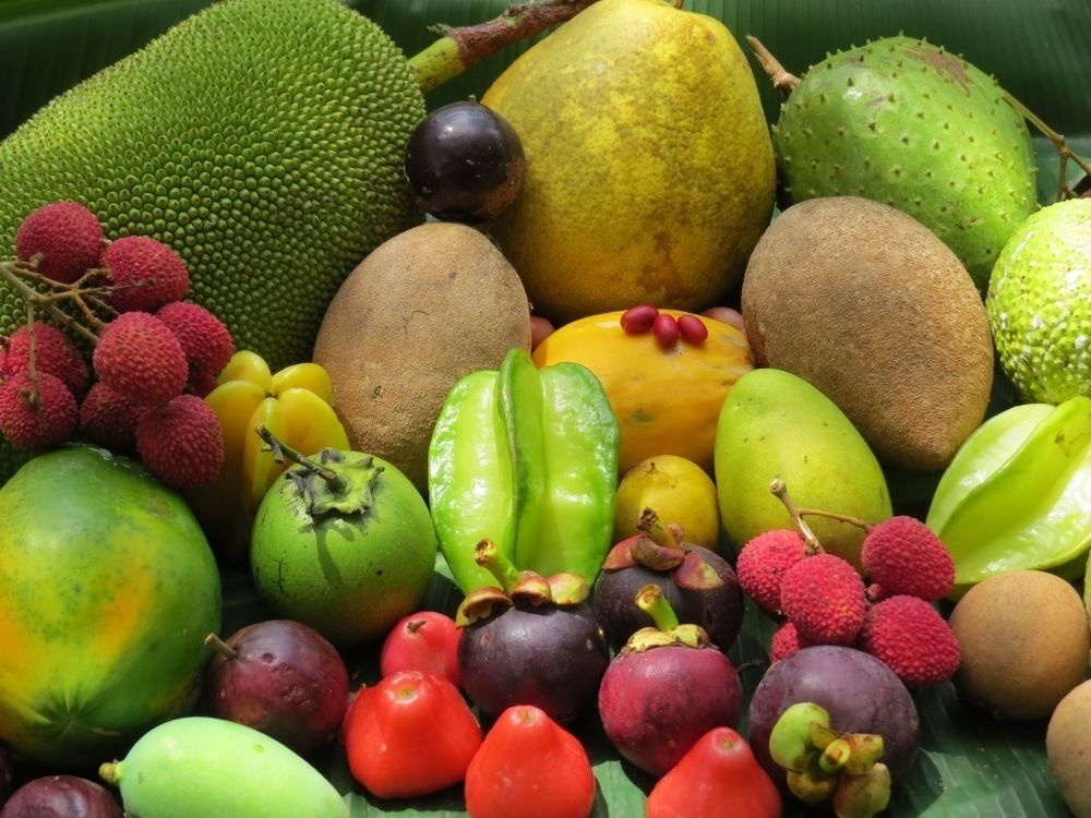 مبيت وإفطار كيب تريبيوليشن Cape Trib Farm المظهر الخارجي الصورة